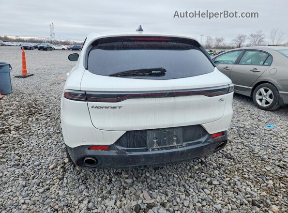 ZACPDFCW3R3A35698 2024 DODGE OTHER White უკანა ხედი
