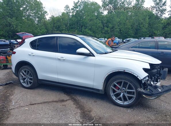 ZASFAKPN7J7B86964 2018 ALFA ROMEO STELVIO Белый Вид задней части салона