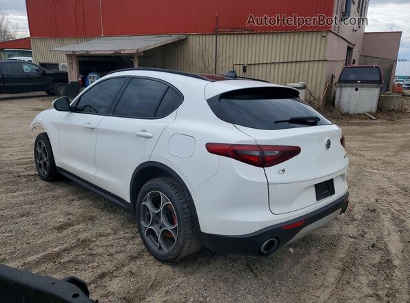 ZASFAKPN8J7C00483 2018 ALFA ROMEO STELVIO White Tył lewy