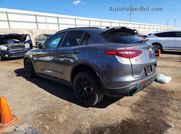 ZASPAKAN4K7C49064 2019 ALFA ROMEO STELVIO Gray Задня ліва чверть