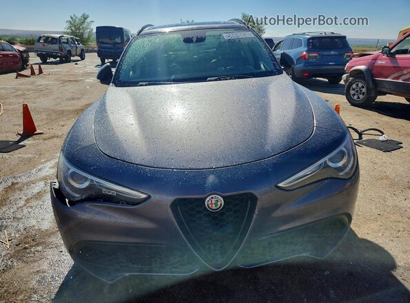ZASPAKAN4K7C49064 2019 ALFA ROMEO STELVIO Gray Вид спереду