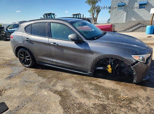 ZASPAKAN4K7C49064 2019 ALFA ROMEO STELVIO Gray Панорамний вид салону 360°