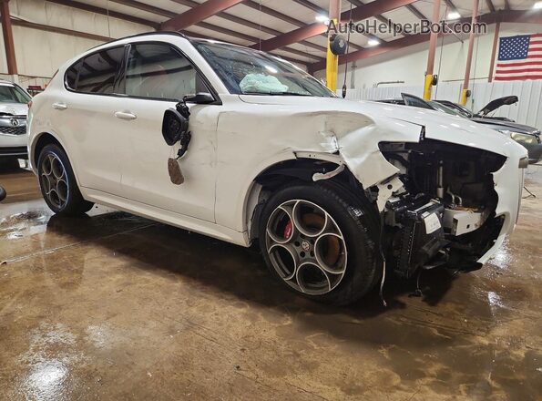 ZASPAKAN6L7C96064 2020 ALFA ROMEO STELVIO White Առջևի աջ