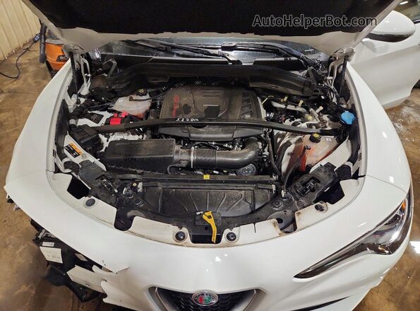 ZASPAKAN6L7C96064 2020 ALFA ROMEO STELVIO White Շարժիչի բաժամունքի տեսք