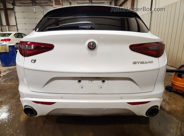 ZASPAKAN6L7C96064 2020 ALFA ROMEO STELVIO White Հետևի տեսք