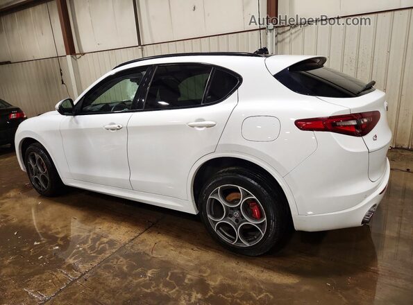 ZASPAKAN6L7C96064 2020 ALFA ROMEO STELVIO White Հետևի ձախ