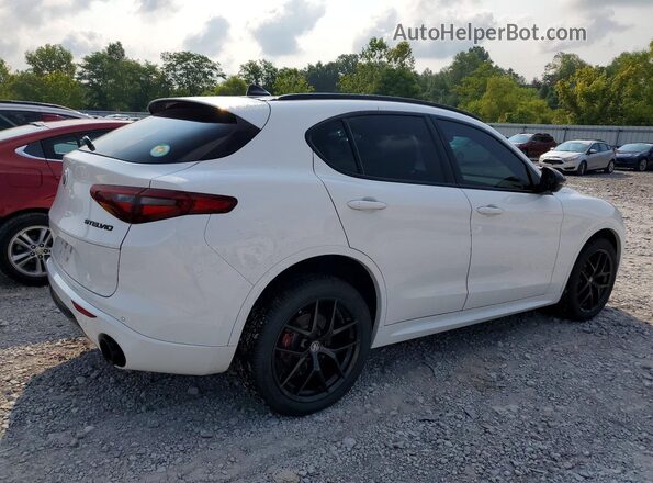 ZASPAKAN7L7C74672 2020 ALFA ROMEO STELVIO White Trasero derecho