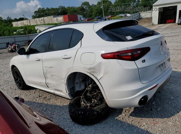 ZASPAKAN7L7C74672 2020 ALFA ROMEO STELVIO White Trasero izquierdo