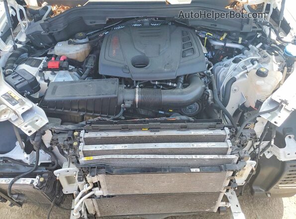 ZASPAKAN8N7D25017 2022 ALFA ROMEO STELVIO White უკანა სალონის ხედი