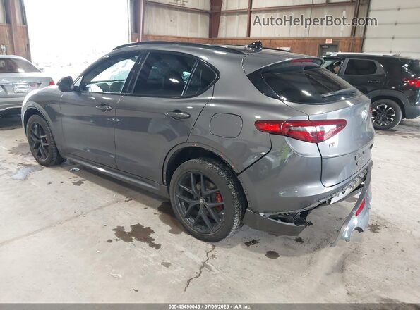 ZASPAKBN0L7C73734 2020 ALFA ROMEO STELVIO Gray Задня ліва чверть
