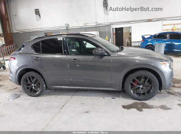 ZASPAKBN0L7C73734 2020 ALFA ROMEO STELVIO Gray Вид задньої частини салону