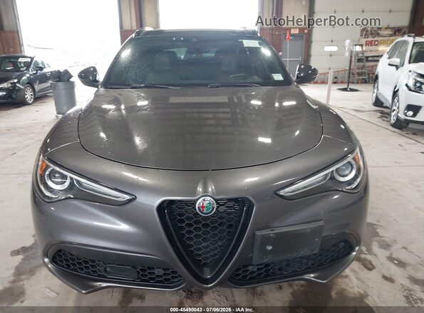 ZASPAKBN0L7C73734 2020 ALFA ROMEO STELVIO Gray Вид щитка приладів