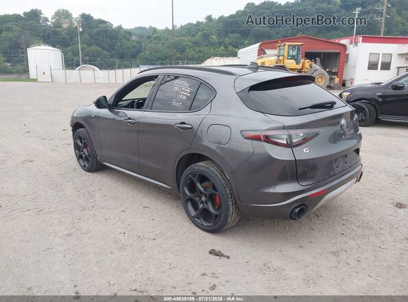 ZASPAKBN0R7D82980 2024 ALFA ROMEO STELVIO Gray Задня ліва чверть