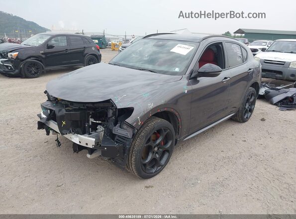 ZASPAKBN0R7D82980 2024 ALFA ROMEO STELVIO Gray Передня ліва чверть