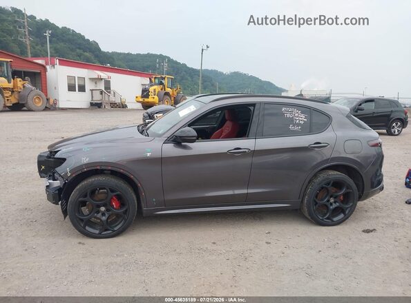 ZASPAKBN0R7D82980 2024 ALFA ROMEO STELVIO Gray 