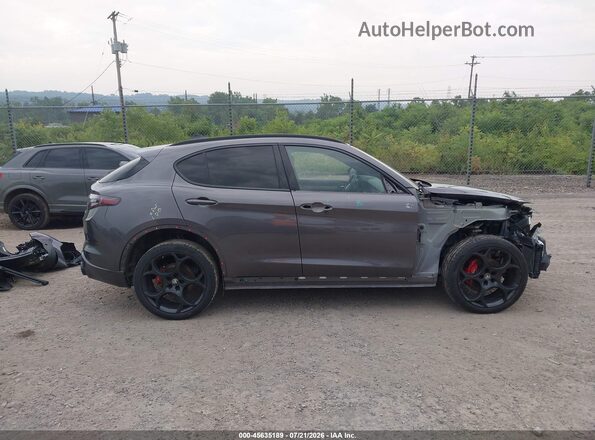 ZASPAKBN0R7D82980 2024 ALFA ROMEO STELVIO Gray Панорамний вид салону 360°