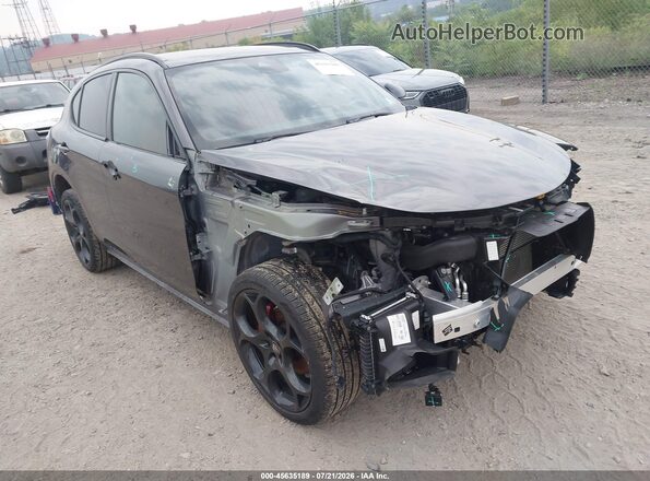 ZASPAKBN0R7D82980 2024 ALFA ROMEO STELVIO Gray 