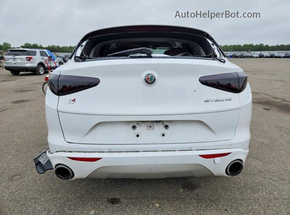 ZASPAKBN1L7C87772 2020 ALFA ROMEO STELVIO White Widok z tyłu