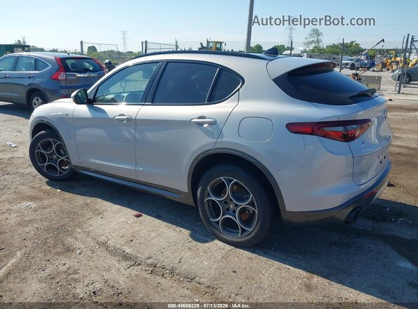 ZASPAKBN1N7D48394 2022 ALFA ROMEO STELVIO Серый Задняя левая четверть