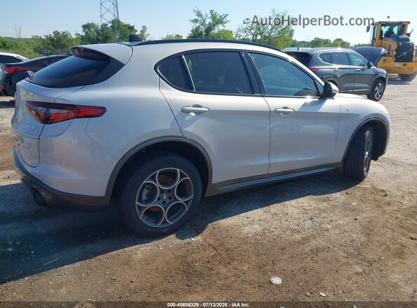 ZASPAKBN1N7D48394 2022 ALFA ROMEO STELVIO Серый Задняя правая четверть
