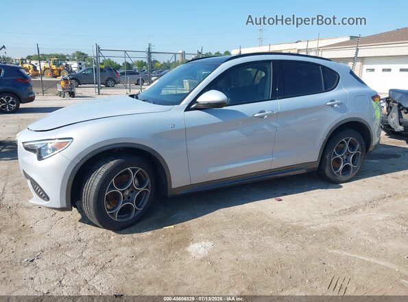 ZASPAKBN1N7D48394 2022 ALFA ROMEO STELVIO Серый Передняя левая четверть