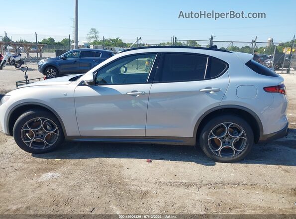 ZASPAKBN1N7D48394 2022 ALFA ROMEO STELVIO Серый Панорамный вид салона 360°