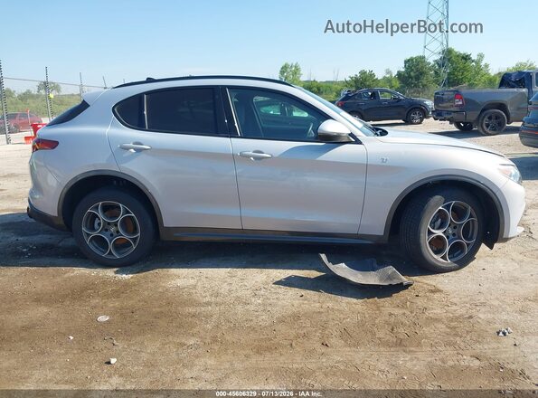 ZASPAKBN1N7D48394 2022 ALFA ROMEO STELVIO Серый Вид задней части салона