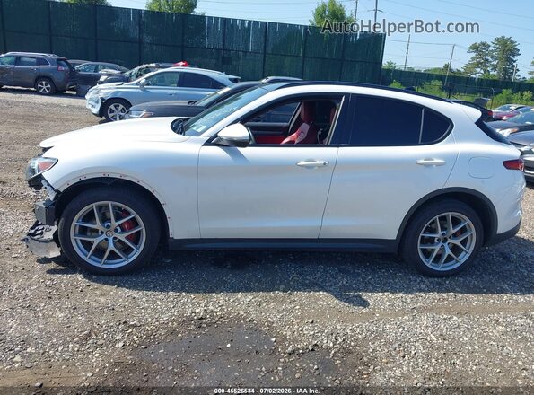ZASPAKBN2K7C37929 2019 ALFA ROMEO STELVIO White Панорамний вид салону 360°