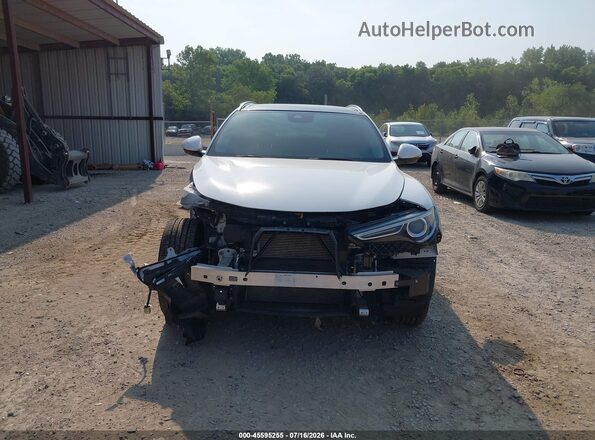 ZASPAKBN2M7D10350 2021 ALFA ROMEO STELVIO Белый Вид задней части салона