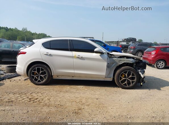 ZASPAKBN2M7D10350 2021 ALFA ROMEO STELVIO Белый Панорамный вид салона 360°
