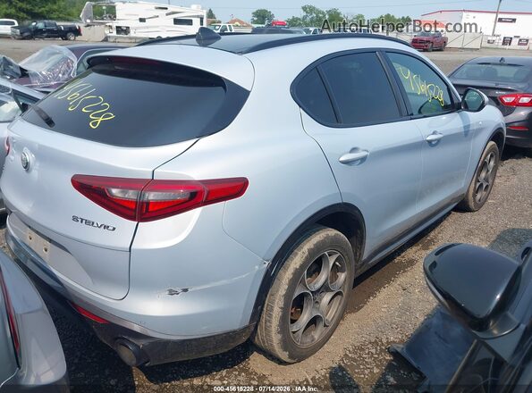 ZASPAKBN3N7D41334 2022 ALFA ROMEO STELVIO Silver Հետևի աջ