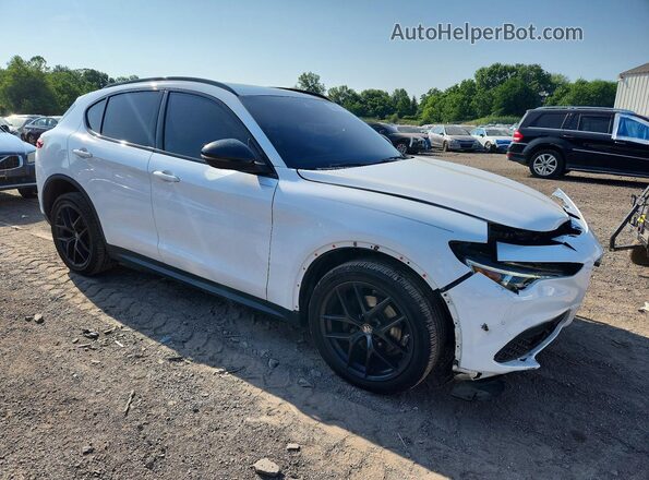 ZASPAKBN4K7C41206 2019 ALFA ROMEO STELVIO White Front right