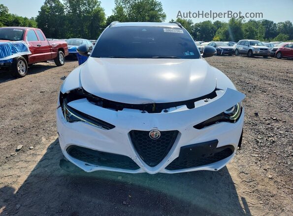 ZASPAKBN4K7C41206 2019 ALFA ROMEO STELVIO White Front view