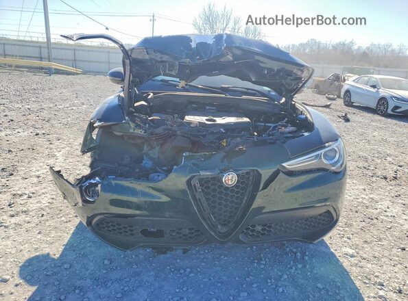 ZASPAKBN6M7D16541 2021 ALFA ROMEO STELVIO Green Vista frontal