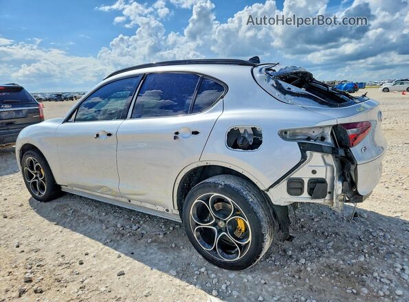 ZASPAKBN8M7D19859 2021 ALFA ROMEO STELVIO Silver Հետևի ձախ