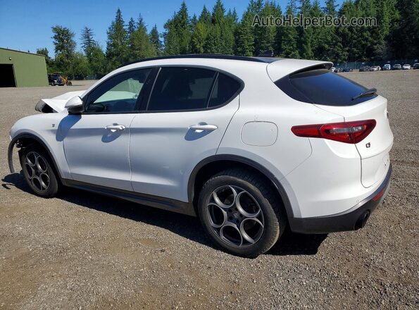 ZASPAKBN8N7D29356 2022 ALFA ROMEO STELVIO White უკანა მარცხენა