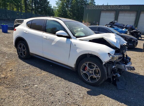 ZASPAKBN8N7D29356 2022 ALFA ROMEO STELVIO White წინა მარჯვენა
