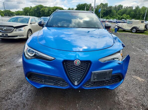 ZASPAKBN9K7C52170 2019 ALFA ROMEO STELVIO Blue Front view