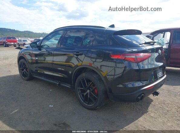 ZASPAKBN9K7C70233 2019 ALFA ROMEO STELVIO Black Задня ліва чверть