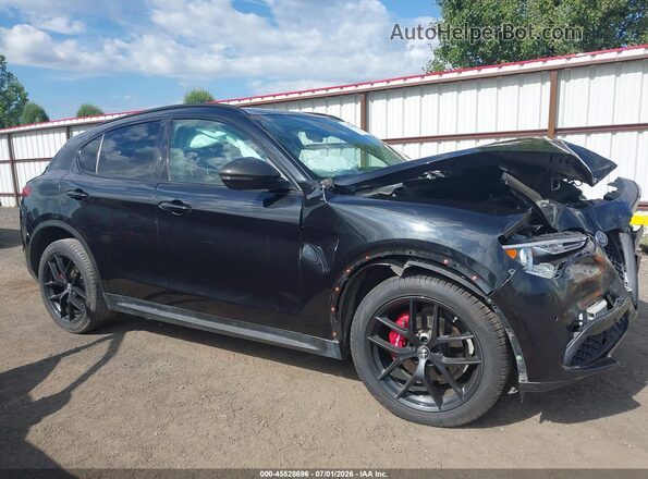 ZASPAKBN9K7C70233 2019 ALFA ROMEO STELVIO Black Вид задньої частини салону