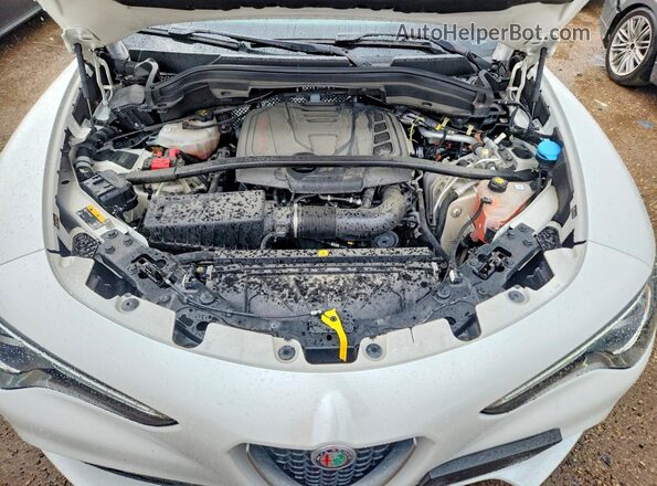 ZASPAKBN9M7D03802 2021 ALFA ROMEO STELVIO White Rear interior view