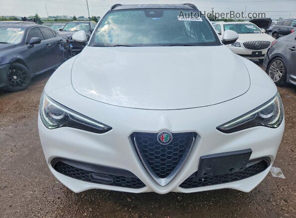 ZASPAKBN9M7D03802 2021 ALFA ROMEO STELVIO White Front view