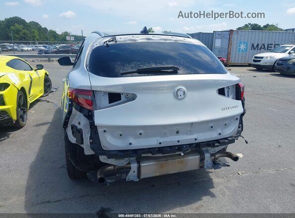 ZASPAKBNXM7D14257 2021 ALFA ROMEO STELVIO Light Blue 