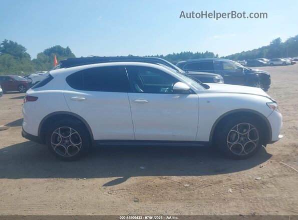 ZASPAKBNXN7D40990 2022 ALFA ROMEO STELVIO White Widok wnętrza z tyłu