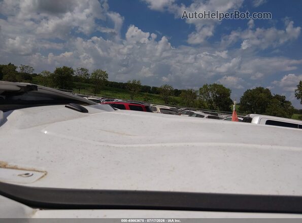 ZFBERFAT6G6C49990 2016 RAM PROMASTER CITY White 