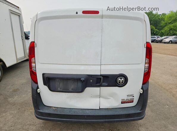 ZFBHRFAB7L6P34196 2020 RAM PROMASTER White Widok z tyłu