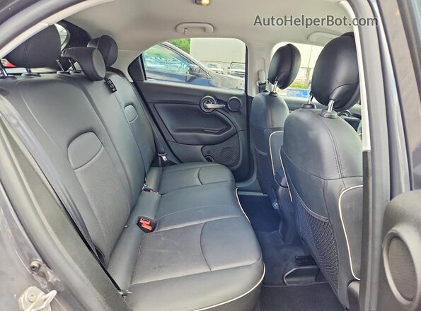 ZFBNFYB14LP870843 2020 FIAT 500X Gray Սալոնի հետևի տեսք