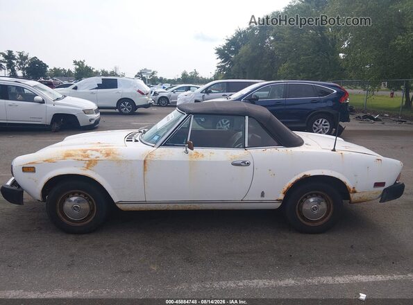 0000124CS10139683 1978 FIAT 124 SPIDER White Панорамний вид салону 360°