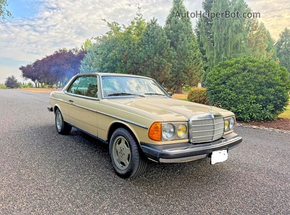 12305312008767 1978 MERCEDES-BENZ 280-CLASS Beige უკანა მარცხენა