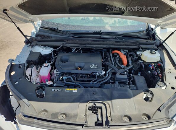 2T2BBMCA0SC088793 2025 LEXUS RX Белый Вид наклейки с VIN-кодом